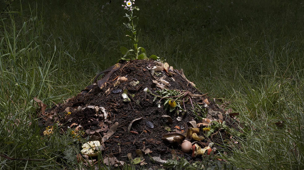 Gardening waste; compost heap